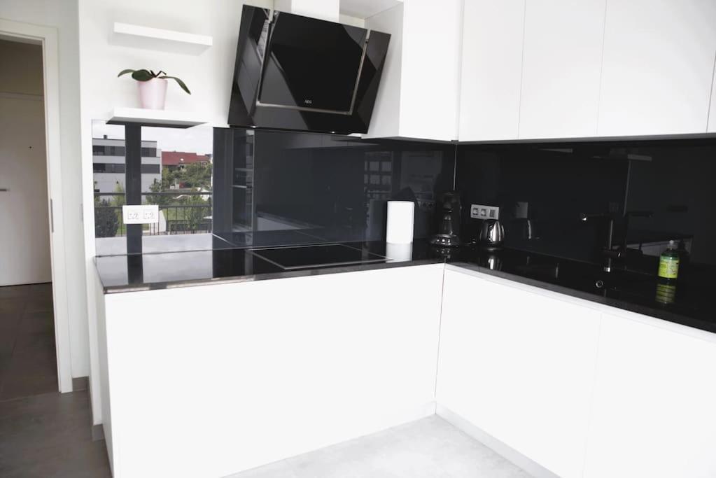 Charming Modern 2 Bedroom Apartment アルザンジャン エクステリア 写真
