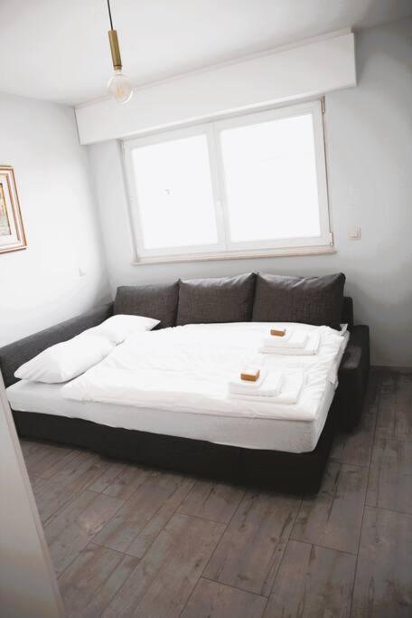 Charming Modern 2 Bedroom Apartment アルザンジャン エクステリア 写真